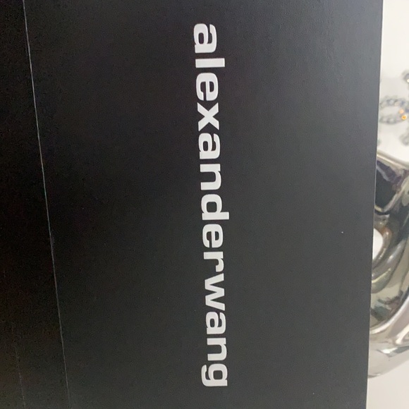 Alexander Wang - Picture 6 of 8